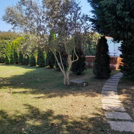 Refugio Singelo Daire Espinho  Dış mekan fotoğraf